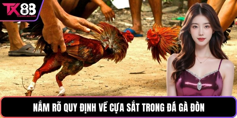Gà Đá Đòn TX88: Sân Chơi Kịch Tính Với Những Chiến Kê Đỉnh