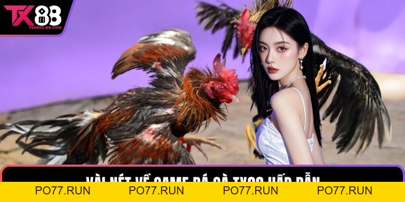 Đá Gà TX88 - Nơi Hội Tụ Những Chiến Kê Xuất Sắc