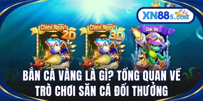 Bắn Cá Vàng – Săn Thưởng Đại Dương Cực Hấp Dẫn Tại XN88