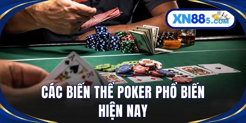 Poker Là Gì? XN88 Giải Đáp Luật Chơi Và Cách Chơi Mới Nhất
