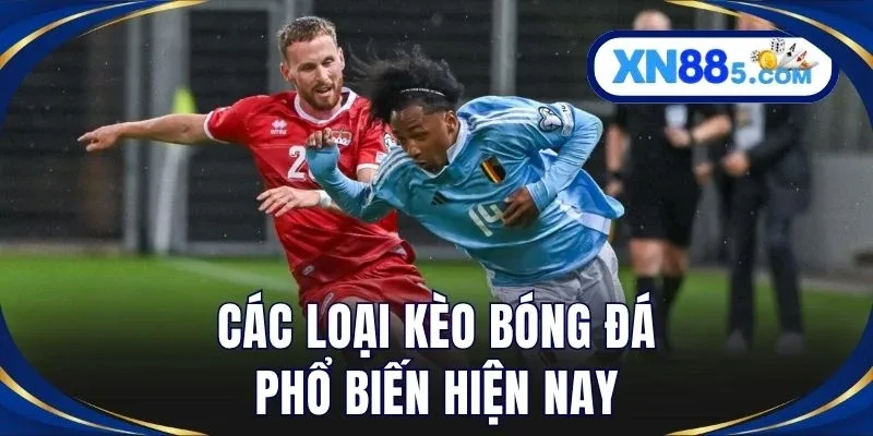 Kèo Bóng Đá Hôm Nay Cập Nhật Tỷ Lệ Chính Xác Mới Nhất