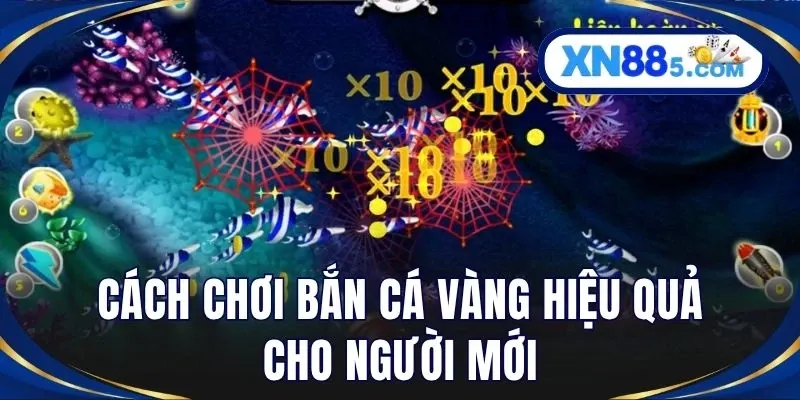 Bắn Cá Vàng – Săn Thưởng Đại Dương Cực Hấp Dẫn Tại XN88