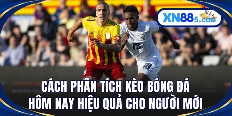 Kèo Bóng Đá Hôm Nay Cập Nhật Tỷ Lệ Chính Xác Mới Nhất