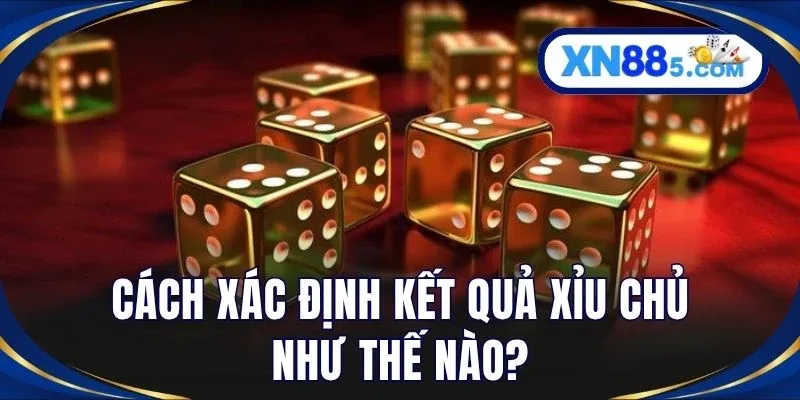 Xỉu Chủ Là Gì? Giải Thích Cách Chơi Và Phân Loại Trên XN88