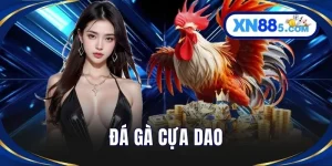 Đá Gà XN88 - Trải Nghiệm Kê Trường Trực Tuyến Sống Động
