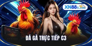 Đá Gà XN88 - Trải Nghiệm Kê Trường Trực Tuyến Sống Động