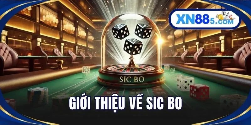 Sic Bo XN88 – Hướng Dẫn Cách Chơi Xúc Xắc Chi Tiết Tại Nhà