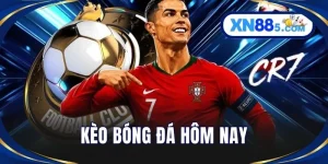 Thể Thao XN88 - Cập Nhật Kèo Trận Đấu Hấp Dẫn Từng Phút