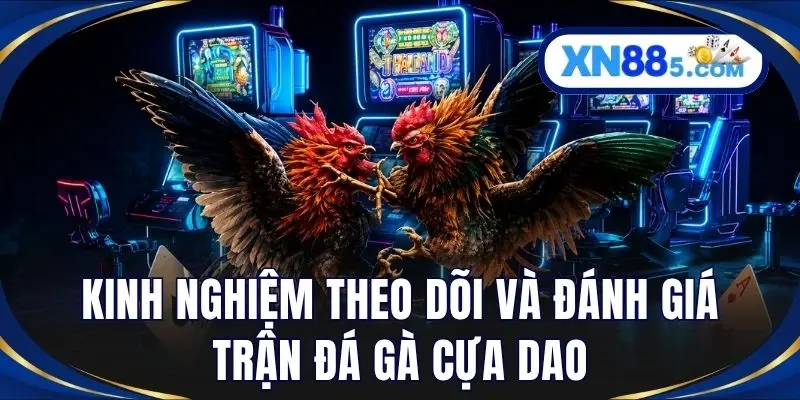 Đá Gà Cựa Dao – Khám Phá Hình Thức Đá Gà Đầy Kịch Tính