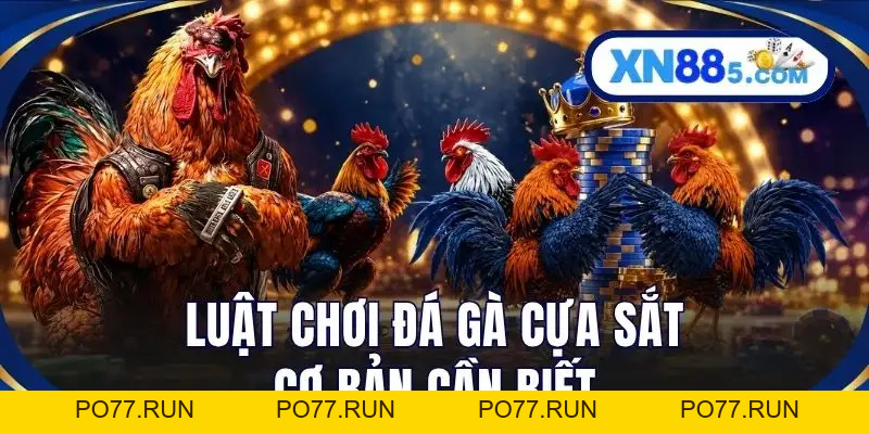 Đá Gà Cựa Sắt Là Gì? Luật Chơi Và Kinh Nghiệm Từ Cao Thủ