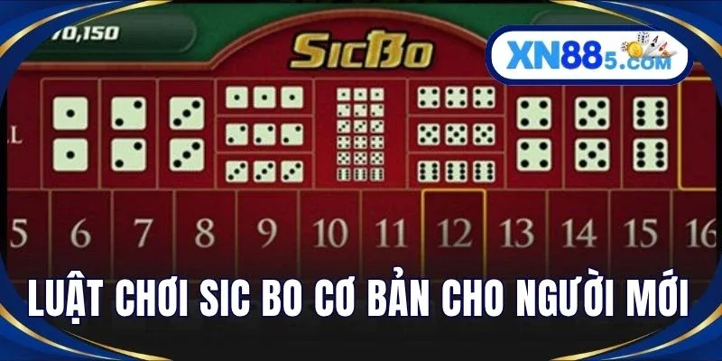 Sic Bo XN88 – Hướng Dẫn Cách Chơi Xúc Xắc Chi Tiết Tại Nhà