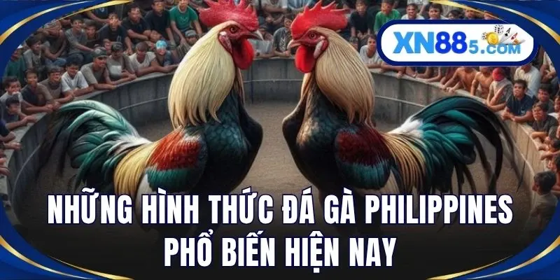 Đá Gà Philippines – Khám Phá Đấu Trường Cựa Dao Đỉnh Cao