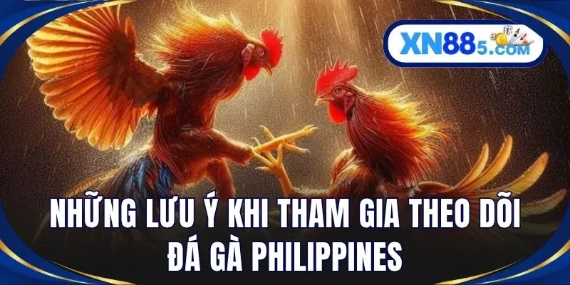 Đá Gà Philippines – Khám Phá Đấu Trường Cựa Dao Đỉnh Cao