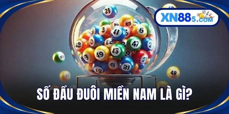 Số Đầu Đuôi Miền Nam - Thống Kê XSMN Chuẩn Xác Tại XN88