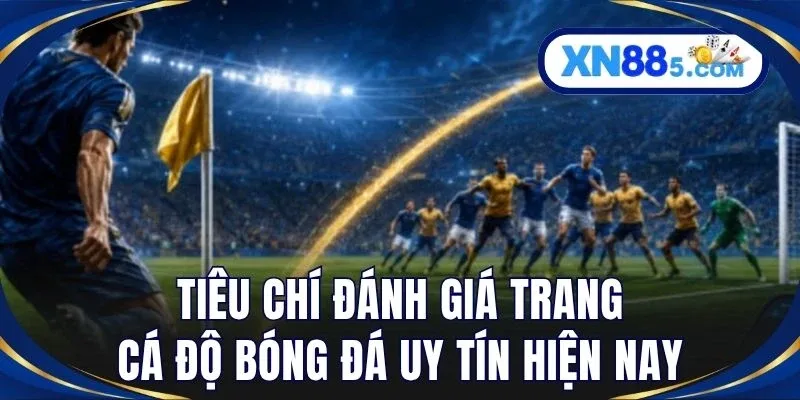 Top 5+ Trang Cá Độ Bóng Đá Uy Tín Cho Bet Thủ Việt Tại XN88