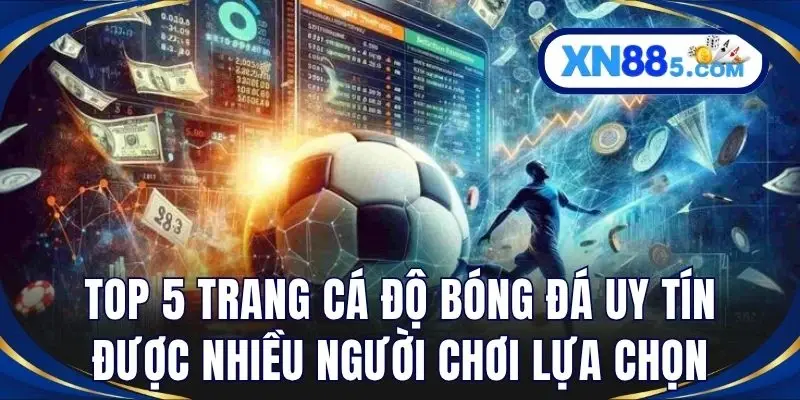 Top 5+ Trang Cá Độ Bóng Đá Uy Tín Cho Bet Thủ Việt Tại XN88