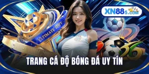 Thể Thao XN88 - Cập Nhật Kèo Trận Đấu Hấp Dẫn Từng Phút