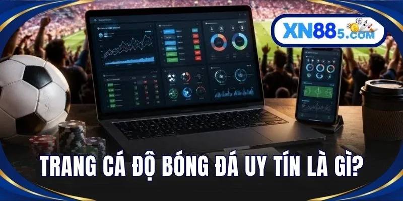 Top 5+ Trang Cá Độ Bóng Đá Uy Tín Cho Bet Thủ Việt Tại XN88