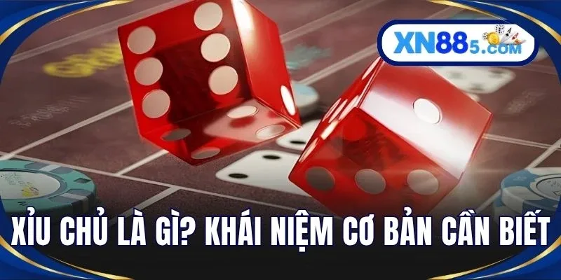 Xỉu Chủ Là Gì? Giải Thích Cách Chơi Và Phân Loại Trên XN88